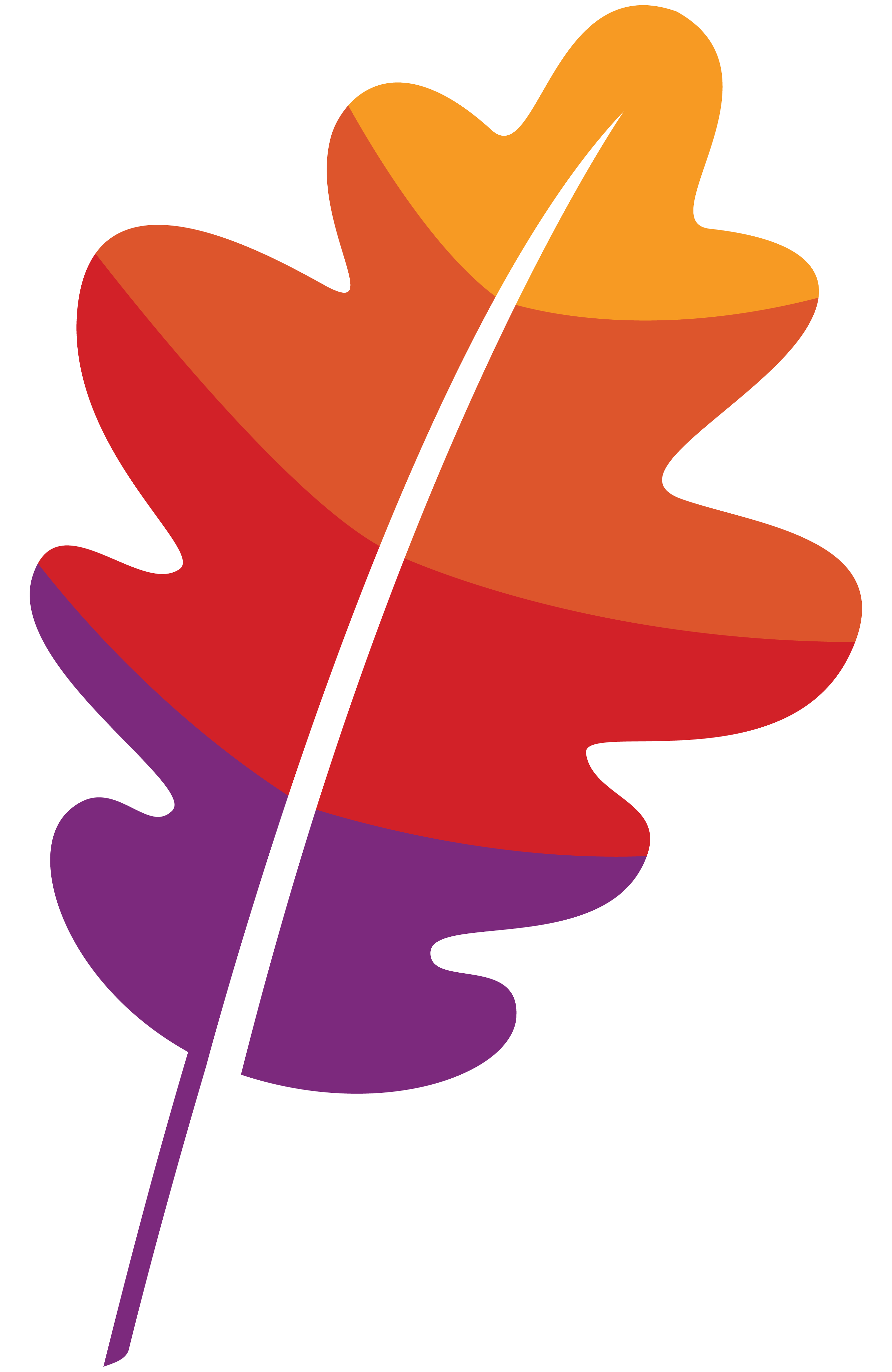 Apache Software Foundation